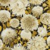 Dahlia  112846